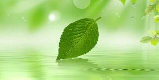南寧八菱科技怎么樣？待遇怎樣，為什么被譴責(zé)？年產(chǎn)多少錢？