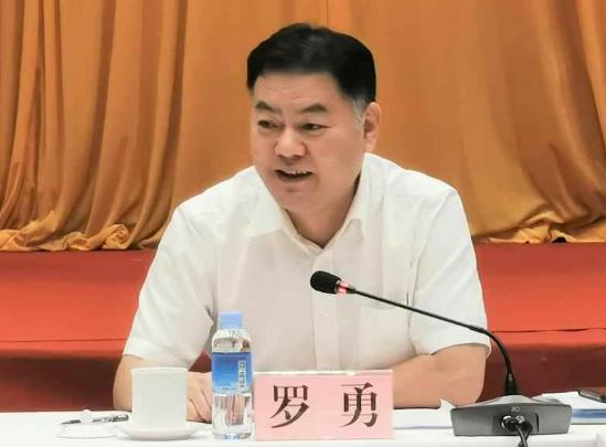 羅勇簡歷：廣西林業(yè)集團董事長羅勇，曾任廣西廣電網絡總經理、來賓市副市長、廣西國宏集團董事長